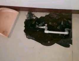 巴楚卫生间测漏水多少钱